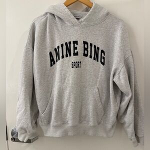 Anine Bing Gray Hoodie